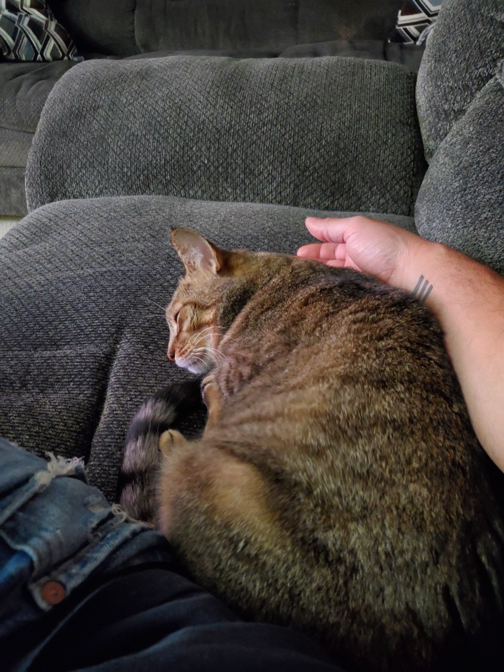 What Brings You&nbsp;Peace?